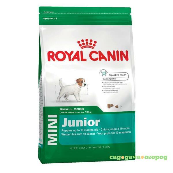 Фото Royal Canin Mini Junior