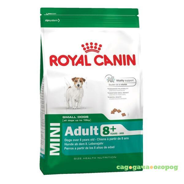 Фото Royal Canin Mini Adult 8+