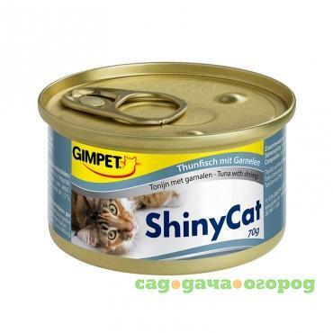 Фото ShinyCat