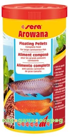 Фото Arowana