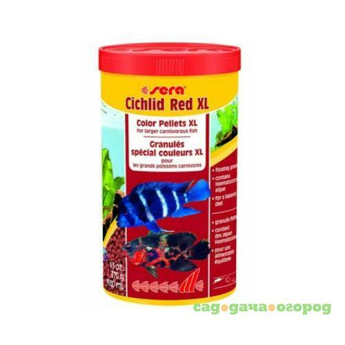 Фото Cichlids Red XL