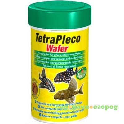 Фото Pleco Wafer