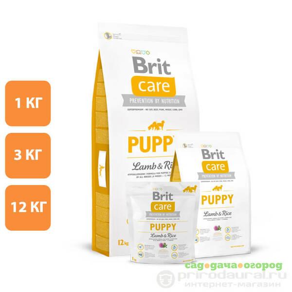 Фото Brit Care Dog Puppy Lamb&Rice