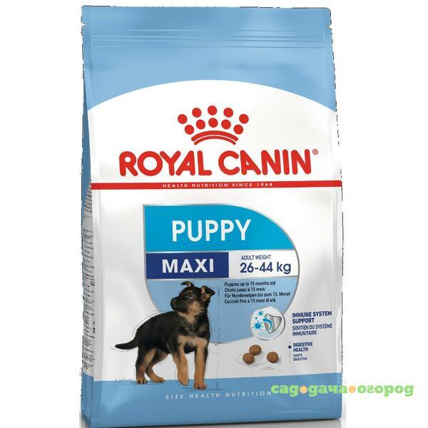 Фото Royal Canin Maxi Puppy