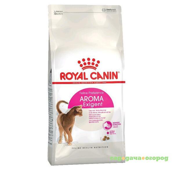 Фото Royal Canin Aroma Exigent