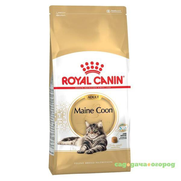 Фото Royal Canin Maine Coon Adult