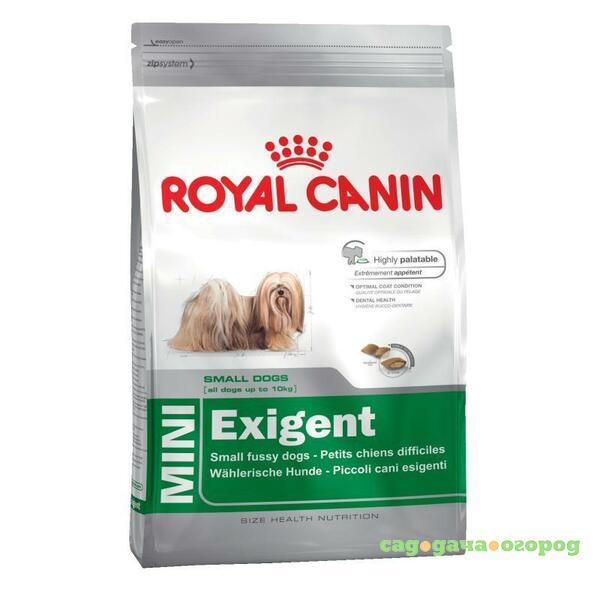 Фото Royal Canin Mini Exigent