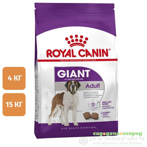 Фото Royal Canin Giant Adult