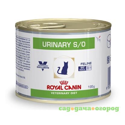 Фото Urinary