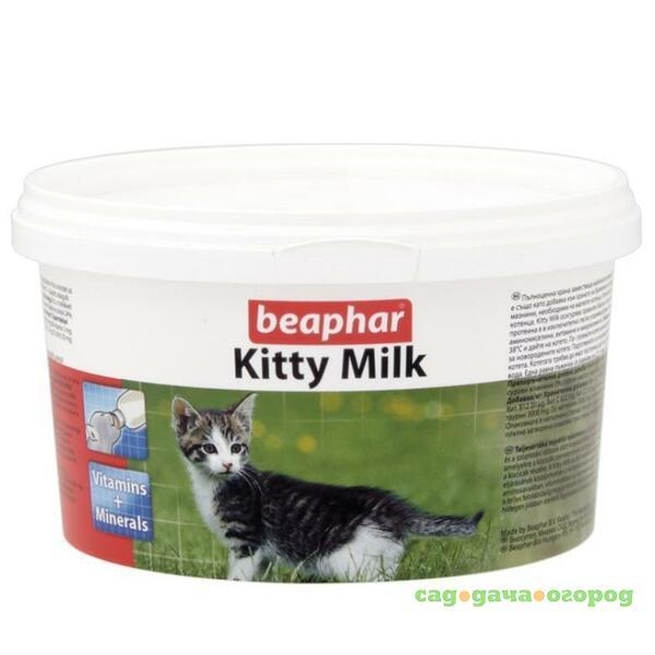 Фото Kitty-Milk