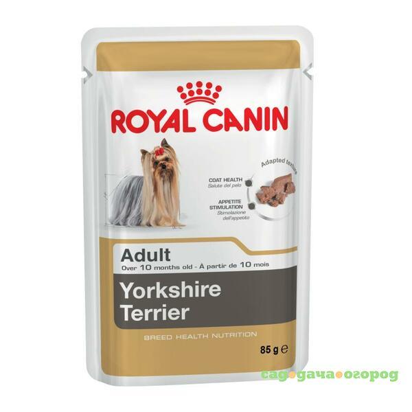 Фото Royal Canin Yorkshire terrier паштет