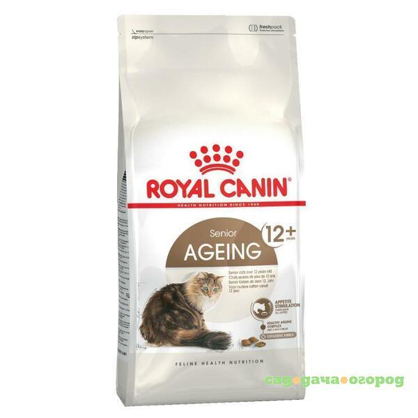 Фото Royal Canin Ageing 12+