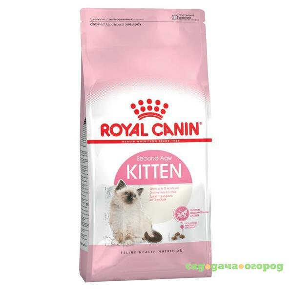 Фото Royal Canin Kitten