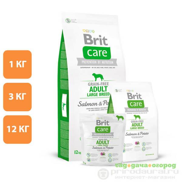 Фото Brit Care Adult Large Breed Salmon&Potato