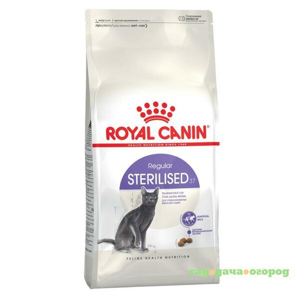 Фото Royal Canin Sterilised