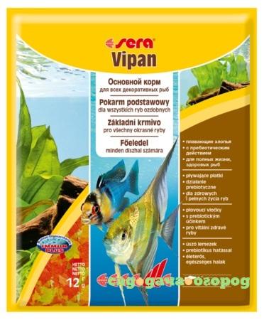 Фото Vipan