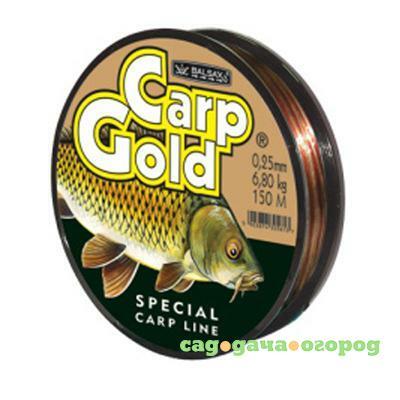 Фото Gold Carp