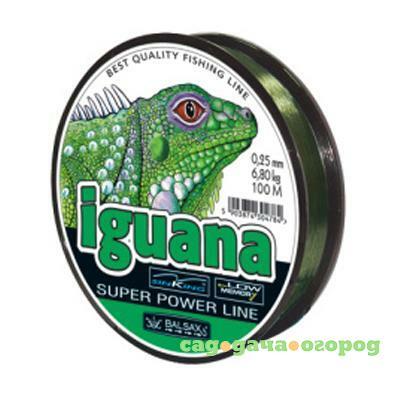 Фото Iguana