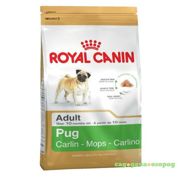 Фото Royal Canin Pug