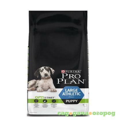 Фото Pro Plan Large Athletic Puppy