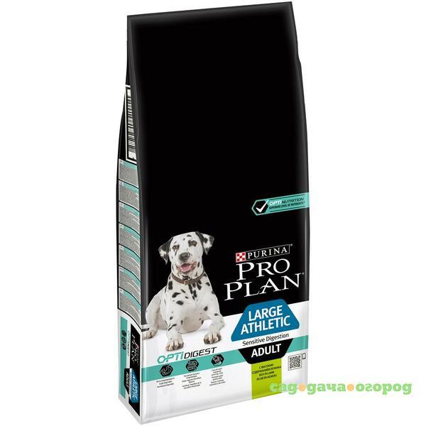 Фото Pro Plan Large Athletic Adult Sensitive Digestion Lamb