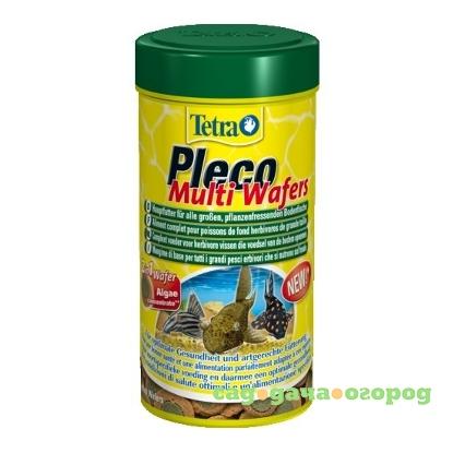 Фото Pleco Multi Wafers