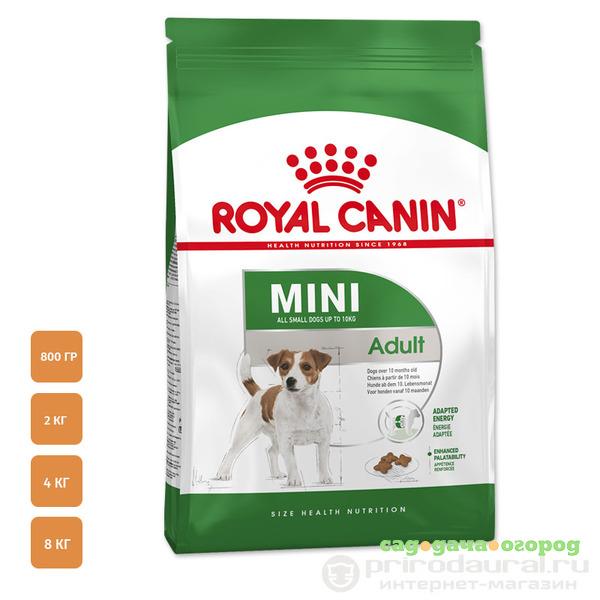 Фото Royal Canin Mini Adult