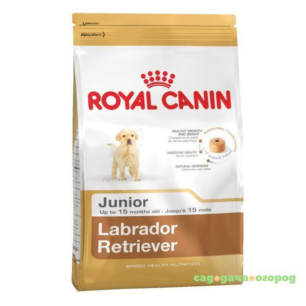 Фото Royal Canin Labrador Retriever Junior