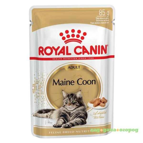 Фото Royal Canin Maine Coon Gravy