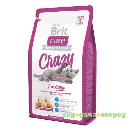 Фото Brit Care Cat Crazy Kitten