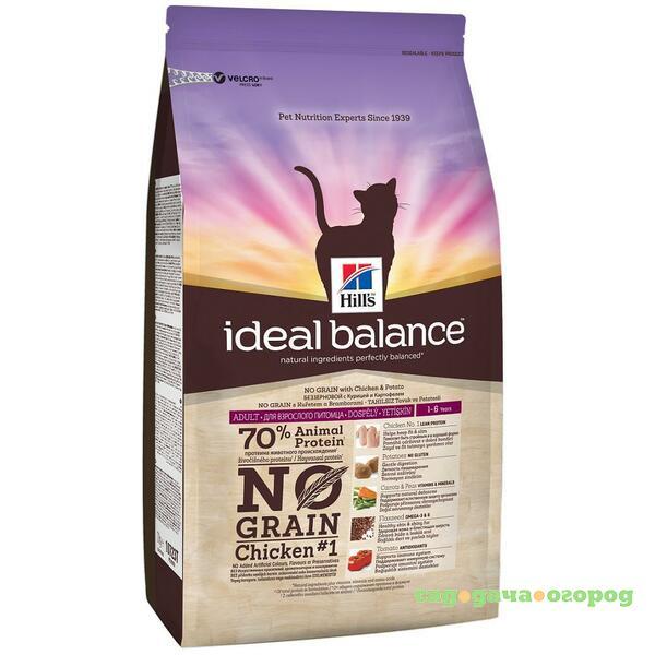 Фото Ideal Balance No Grain