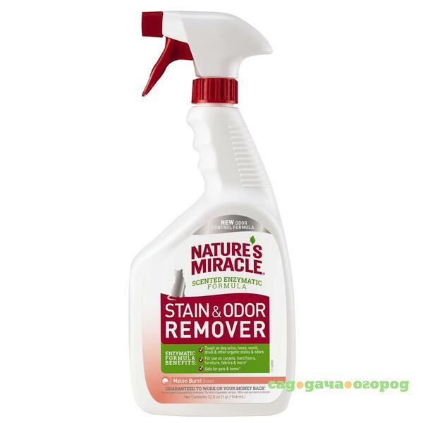 Фото Stain and Odor Remover