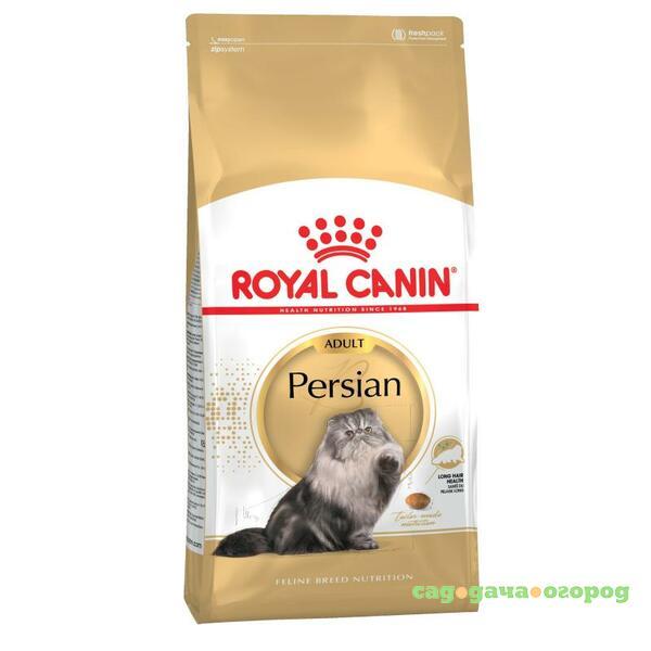 Фото Royal Canin Persian Adult