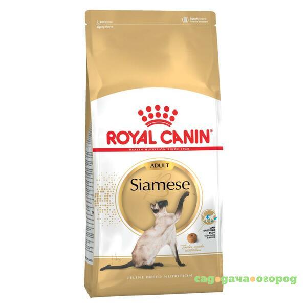 Фото Royal Canin Siamese Adult