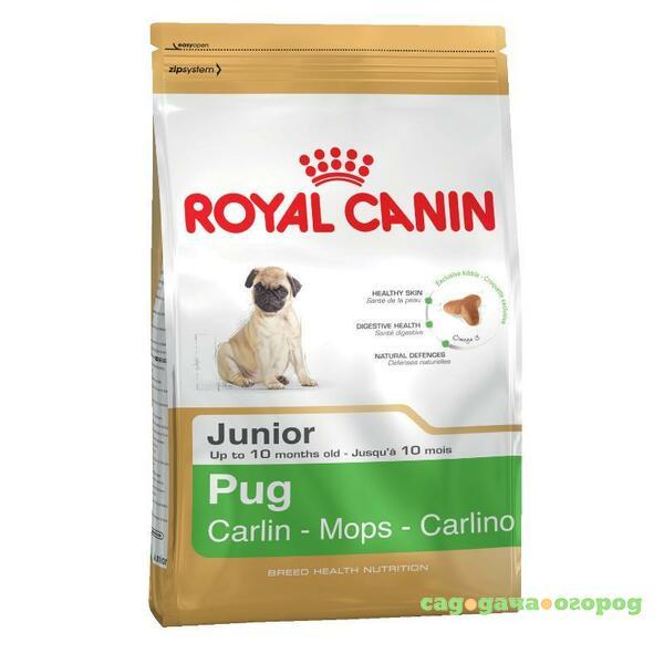 Фото Royal Canin Pug Junior