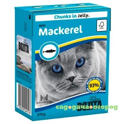 Фото Mackerel