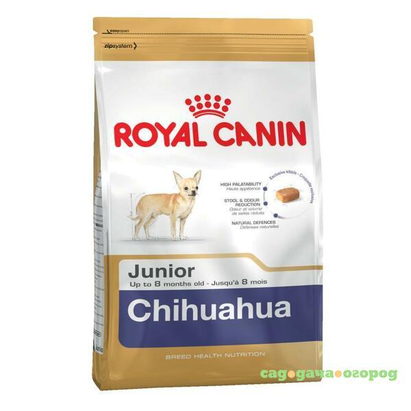 Фото Royal Canin Chihuahua Junior