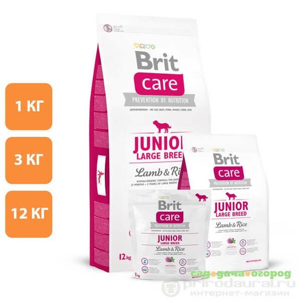 Фото Brit Care Dog Junior Large Breed Lamb&Rice