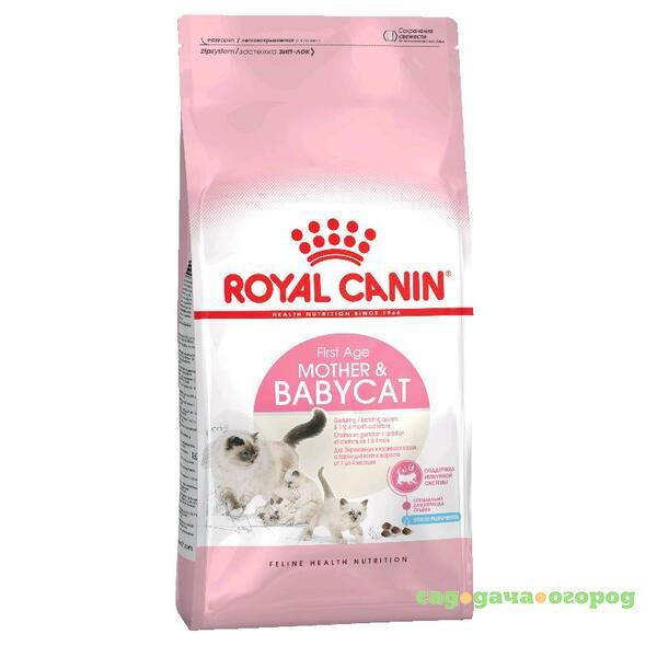 Фото Royal Canin Mother&Babycat