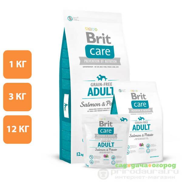 Фото Brit Care Grain Free Adult Salmon&Potato