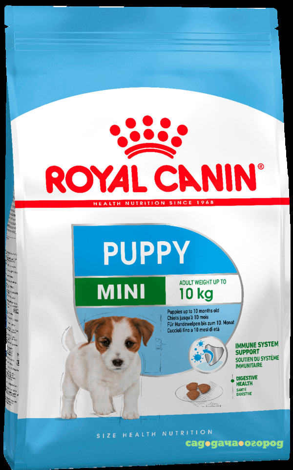 Фото Royal Canin Mini Puppy