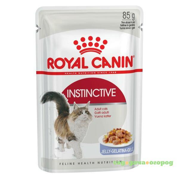 Фото Royal Canin Instinctive Jelly