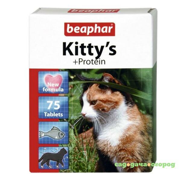 Фото Kitty's Protein