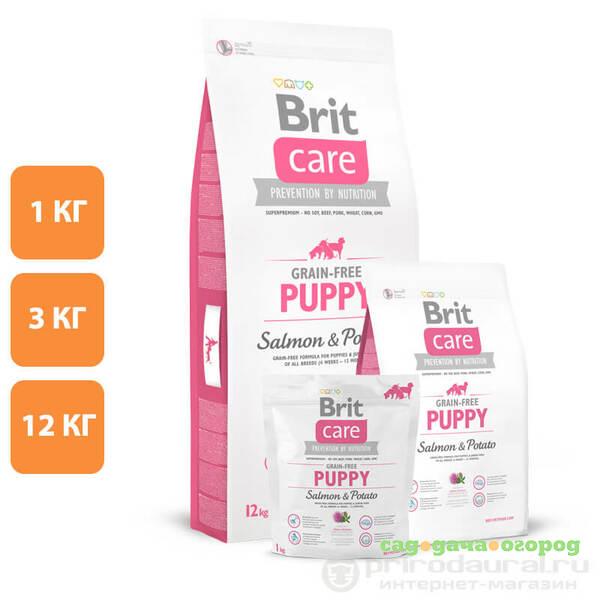 Фото Brit Care Dog Puppy Salmon&Potato