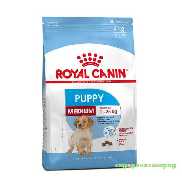 Фото Royal Canin Medium Puppy