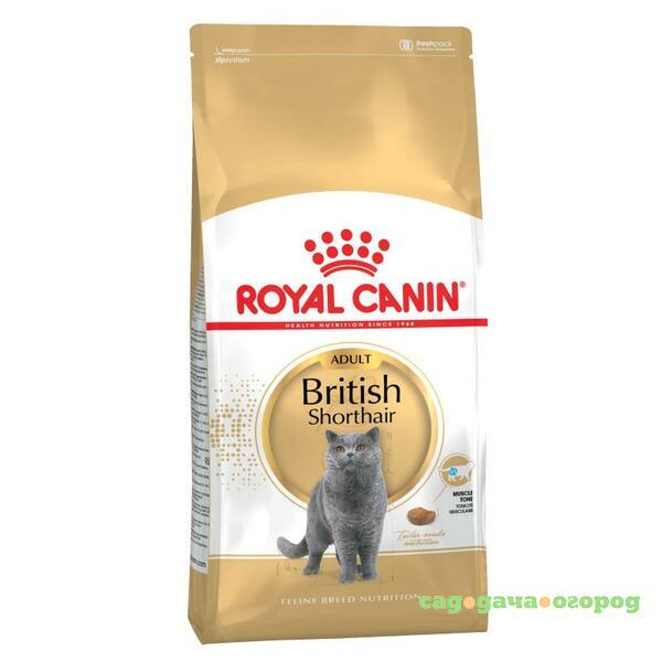 Фото Royal Canin British Shorthair Adult