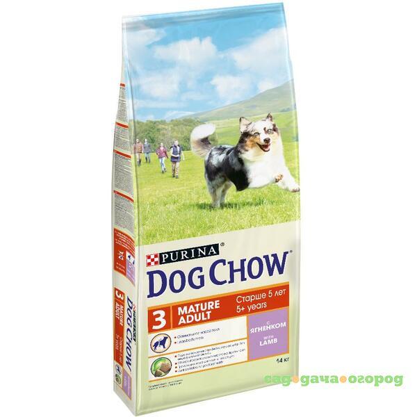 Фото Dog Chow Mature Adult Lamb