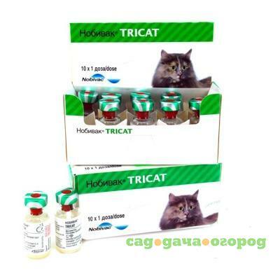 Фото Нобивак TRICAT TRIO