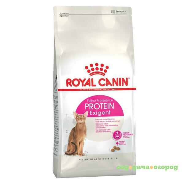 Фото Royal Canin Protein Exigent