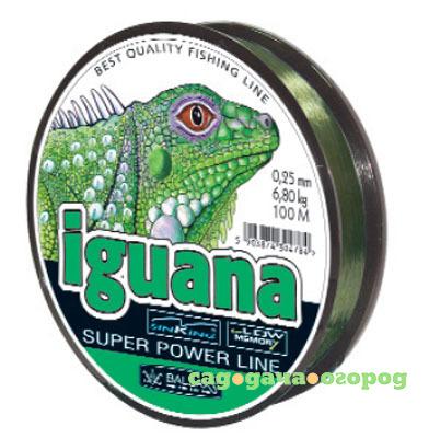 Фото Iguana